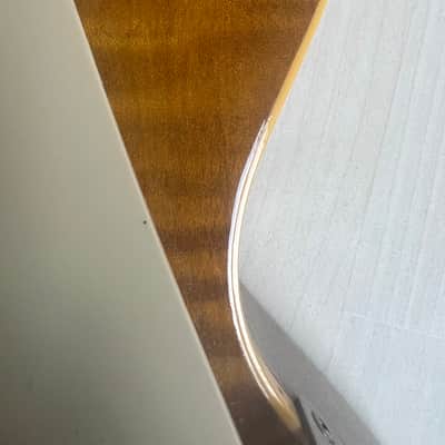 Gibson Les Paul 2001 image 15