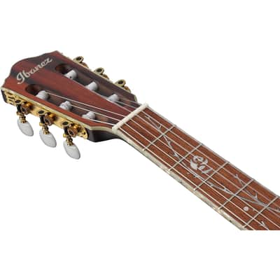 Ibanez TOD10NTKF Tim Henson Signature Nylon Acoustic-Electric Guitar - Transparent Black Flat image 10