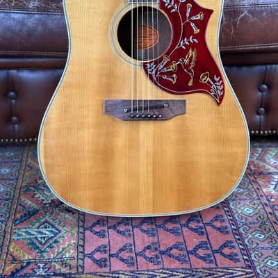 Gibson Hummingbird 1968 image 2
