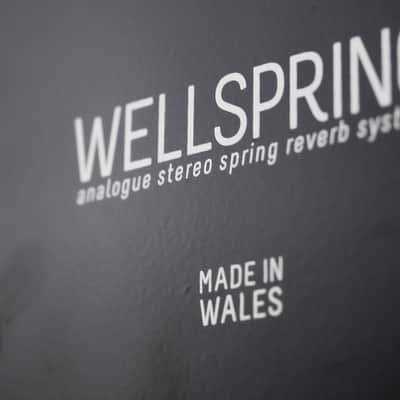 Teaching Machines Wellspring Stereo Spring Reverb Machine image 9
