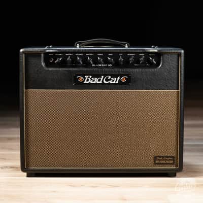 Bad Cat Mod Shop Black Cat 1x12 30W 2-Channel Tube Combo Amp image 2