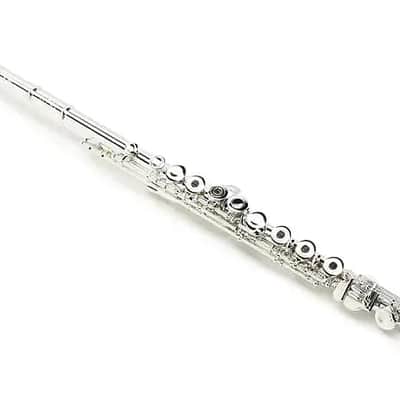 Tomasi TFL-07 SIB 7 Series Intermediate Flute - Sterling Silver Lip Plate image 1