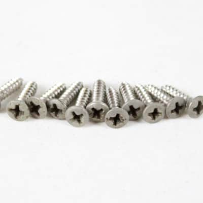 1960s Vintage Fender Stratocaster/Telecaster/Jazzmaster/Jaguar Screws Set of 12