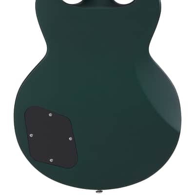 D'Angelico DAPBRISHGCS PREMIER BRIGHTON Double Cutaway Solid Body 6-String Electric Guitar w/Gig Bag image 6