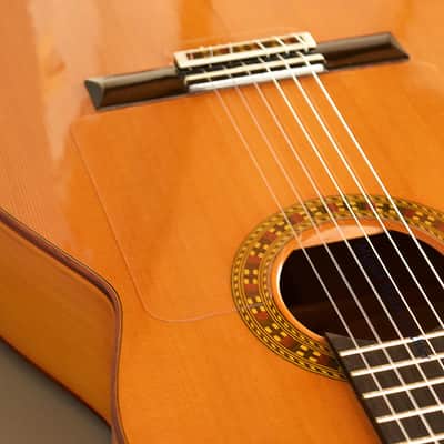 Flamenco Concert Guitar Ayamonte Model "La Canastera" - "The Basket Maker" image 20