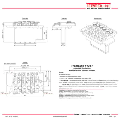 Tremoline FT36T-R3-BS Stainless Steel double locking tremolo + R3 (42.8mm) Locking Nut, Black image 13