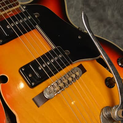 Conrad Aria 5002T Hollow Body Double Cut Electric Guitar Vintage