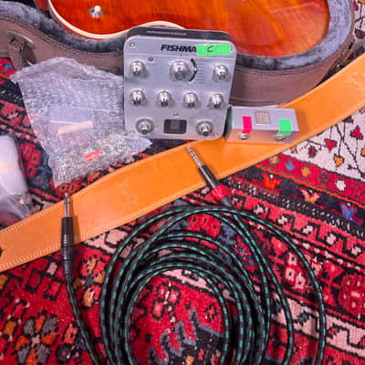 James Williamson The Stooges Tour Played & Owned Eastman SB59/v Les Paul Electric Guitar w/ Raw Power Bridge Pickup Stage Used Fishman, A/B Box & Cables = SALE image 6