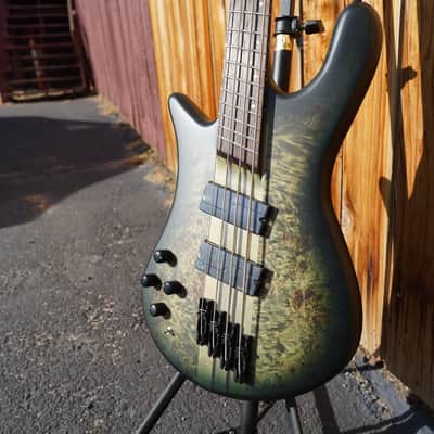 Spector NS Dimension 4 Multi Scale Haunted Moss Matte Left Handed 4-String Bass Guitar w/ Gig Bag (NOS) image 4