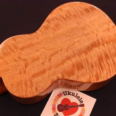 Rebel Curly Mango Gloss Tenor with Ebony Fretboard & Bridge #5151 image 12