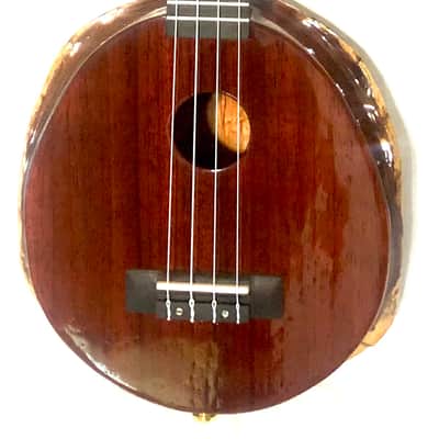 Terra Brasil Cavaquinho ピックアップ内蔵カヴァキーニョ Terra Brasil Cavaquinho ピックアップ内蔵カヴァキーニョ 【公式通販】
