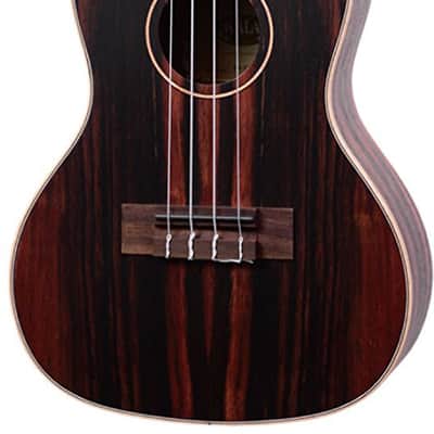 Kala KA-EBY-C Striped Ebony Concert Ukulele image 1