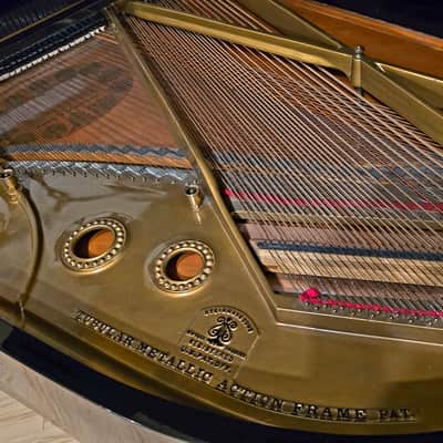 Steinway and Sons Model A 1914 image 5