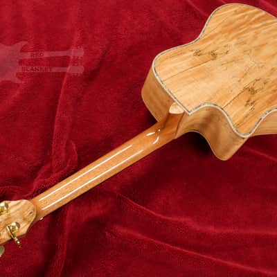 B.C. Rich Acoustic Cutaway 6 -String - Spalted Maple - W/Matrix Infinity VT & Hardcase image 12