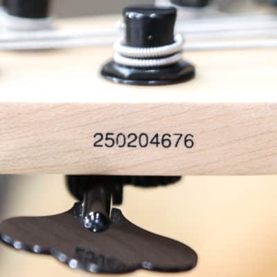 Lakland Skyline Series 55-01 Deluxe Spalted Maple Natural 5-String Electric Bass image 11