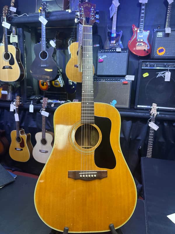 Immagine 1973 Guild D-40 Bluegrass Jubilee - 1