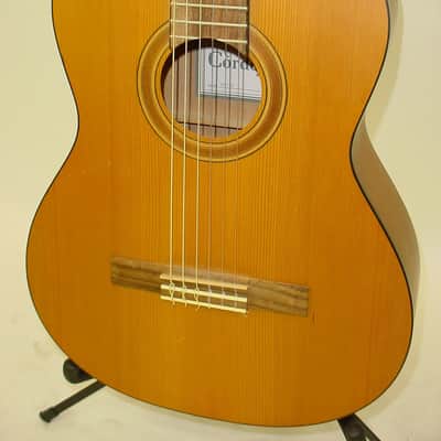 Cordoba CP110 Iberia Series Nylon String Classical Acoustic Guitar image 2