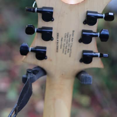 B.C. Rich beast body art collection image 6