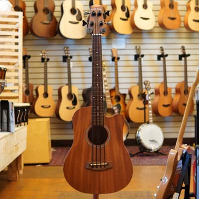 Gold Tone M-BassFL 23" Scale Fretless Acoustic-Electric MicroBass w/Padded Gig Bag image 4