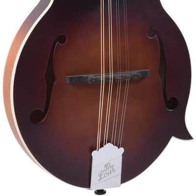 LM-310F-BRB Honey Creek F-Style Mandolin - Vintage Brown