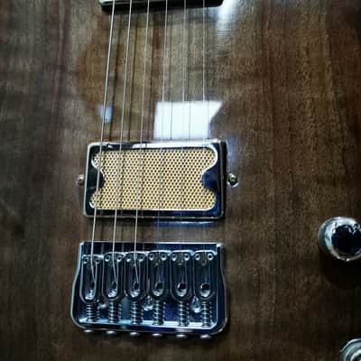 LT Custom Pioneer Superstrat - Special Edition image 4