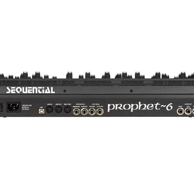 Sequential Prophet 6 Polyphonic Analog Synthesizer Desktop Module image 3