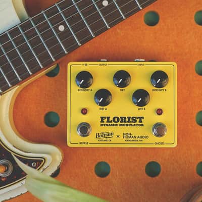 Benson Amps / Non-Human Audio Florist Dynamic Modulator image 2