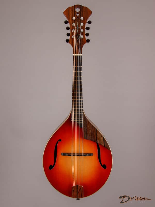 2014 Condino A style Mandolin, Brazilian Rosewood/Adirondack Spruce image 1