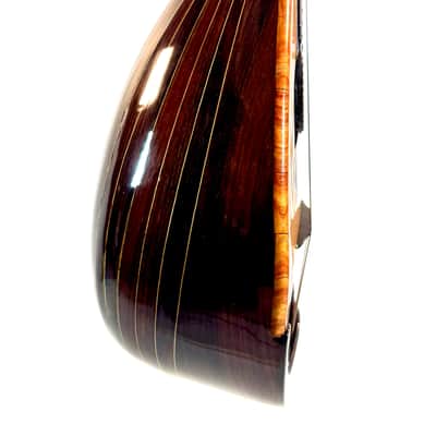 Concert Mandolin E. De Cristofaro 1930's image 8