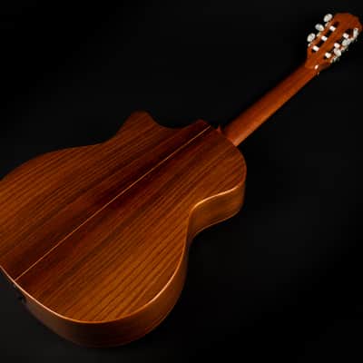 2018 Taylor 714ce-N - Natural | USA All Solid Grand Auditorium Crossover Classical Guitar Nylon Cutaway Pickup | OHSC image 12