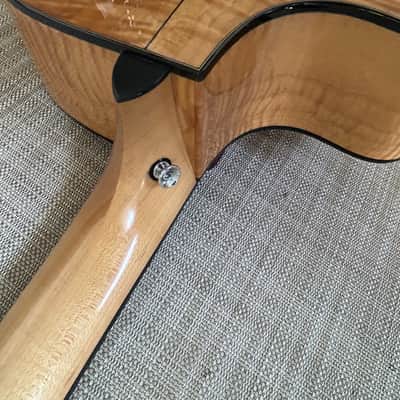 Breedlove Performance Focus D 2004 - new frets, Natural image 13