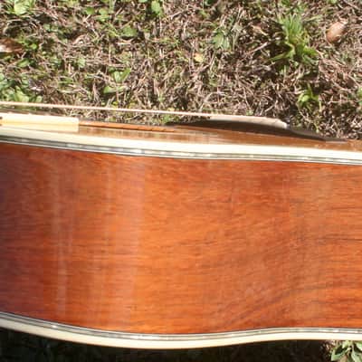 1975 Yairi YW-600 Dreadnought Guitar New Jacaranda Natural+Vintage Flight Case image 13