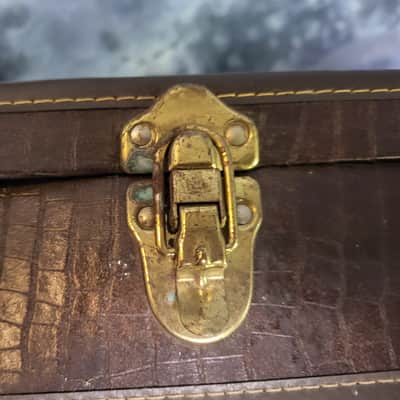 Vintage 1977 D'Andrea Z Explorer Alligator Look Soft Shell Guitar Case Warranty Card Candy image 4