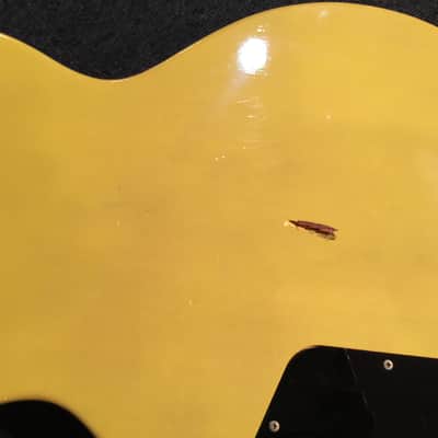 No.022624 Epiphone TV SPL MADE IN JAPAN FUJIGEN INC. Lacquer Finish image 16