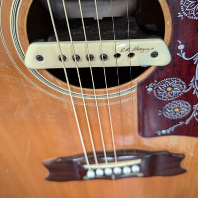 D'Agostino J2 Jumbo Acoustic Electric Guitar image 12