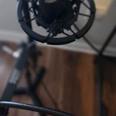 Austrian Audio OC16 Cardioid Large Diaphragm Condenser Microphone 2022 - Present - Black image 2