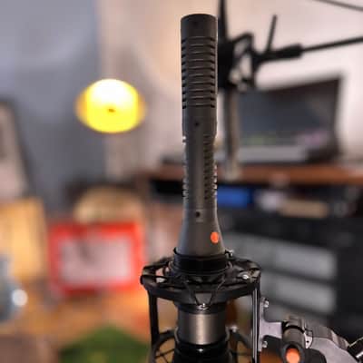 Royer SF-24 Stereo Active Ribbon Microphone 2010s - Black image 1