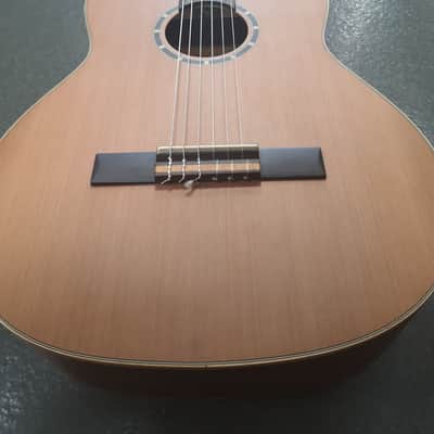 Ortega Family Series R122SN Slim Neck 2020s - Natural image 1