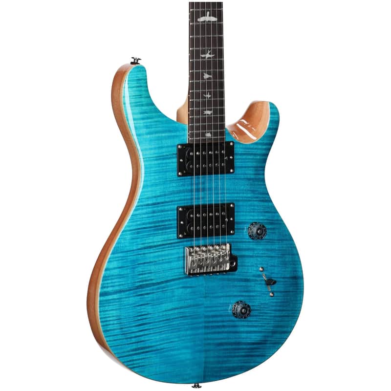 PRS SE Custom 24 Electric Guitar | Reverb