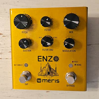 Meris Enzo Guitar Synthisizor image 1