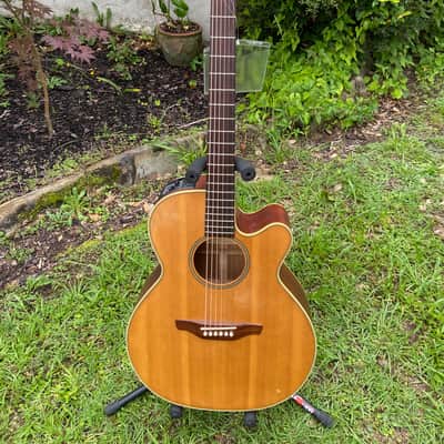Takamine EG-40C - Natural image 1