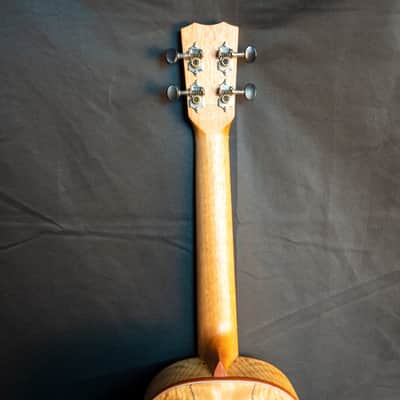 Cordoba 24T cedar top spalted maple tenor ukulele image 7