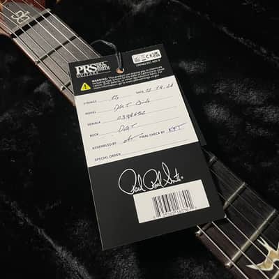 PRS Core DGT David Grissom Signature w/Gig Bag - Gold Top image 16