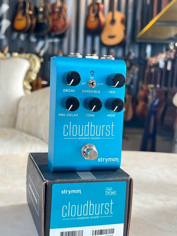 Strymon Cloudburst