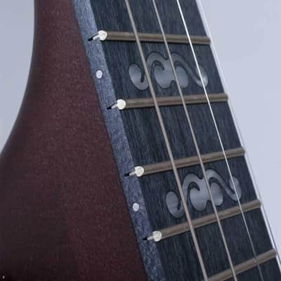 Deering Artisan Goodtime II 5-String Resonator Banjo image 8