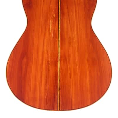 Andreas Wahl "Torres" 2004 - amazing guitar from one of the best German luthiers - check video! image 6