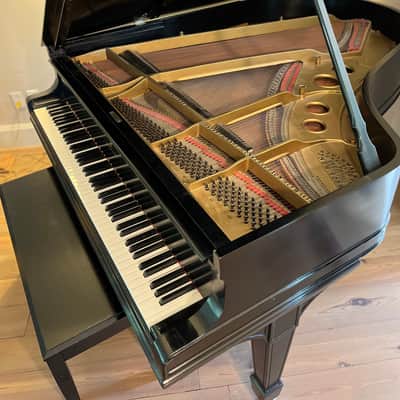 Steinway Model O Grand Piano 1906 - Ebony Satin image 2