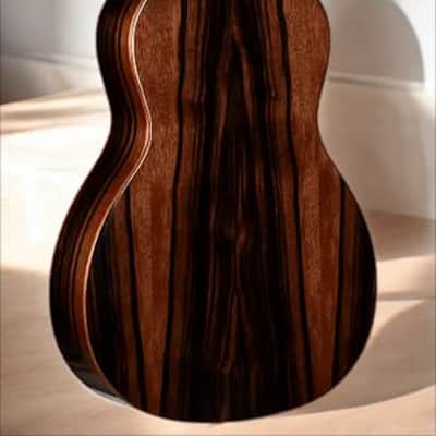 Teton STP180DVB Spruce/Ebony Parlor â€“ Vintage Vibe, Modern Tone! image 4