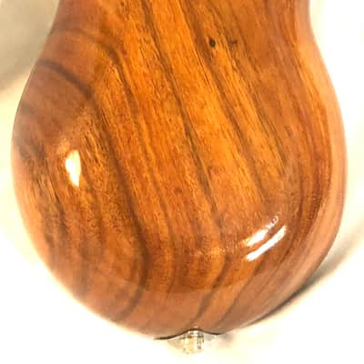 Acoustic/electric dulcimer guitars image 11