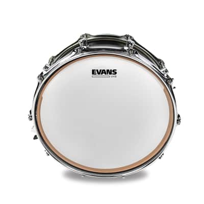 Evans UV2 Coated 14" Snare / Tom Drumhead image 4